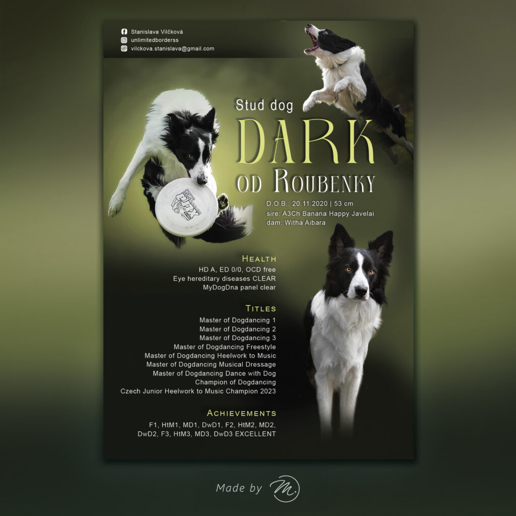 prezentacni_letacek_dark