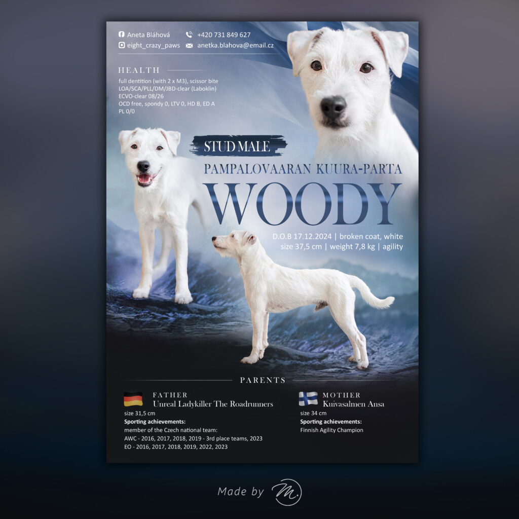 Pampaalovaran Kuura-Parta | Parson Russell Terrier